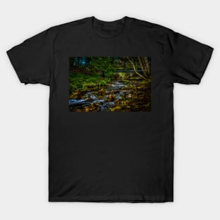 Reigh Burn At Newburn T-Shirt